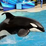 SeaWorld San Diego