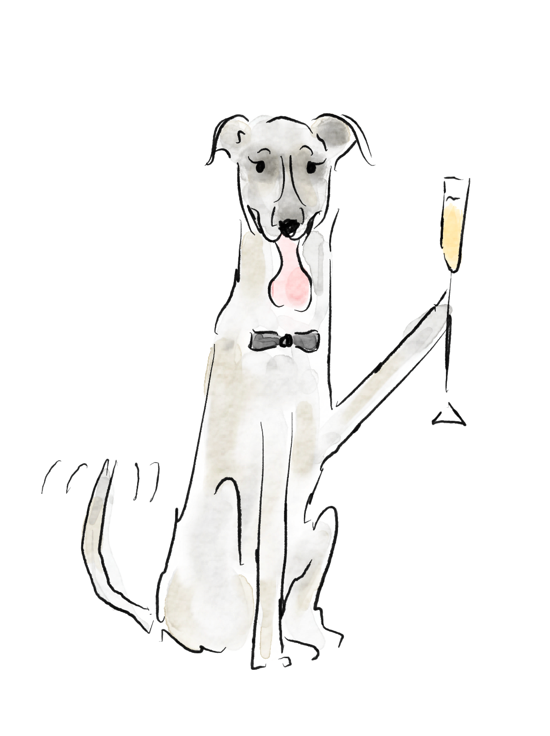 The Wedding Website of Kaitlyn Kasemodel and Spencer Ilstrup