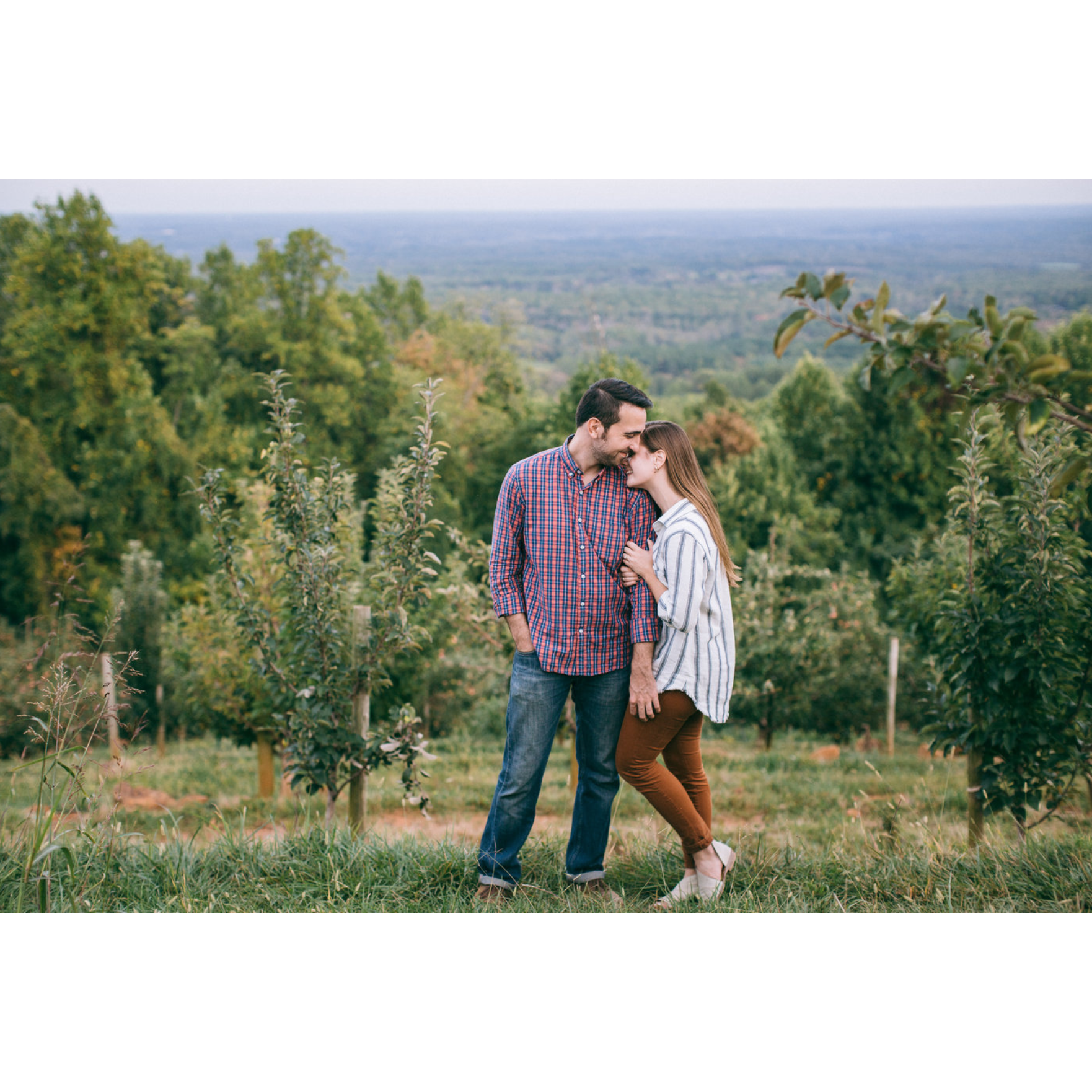 tender.
charlottesville | october 2017