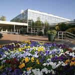 Athens Botanical Gardens