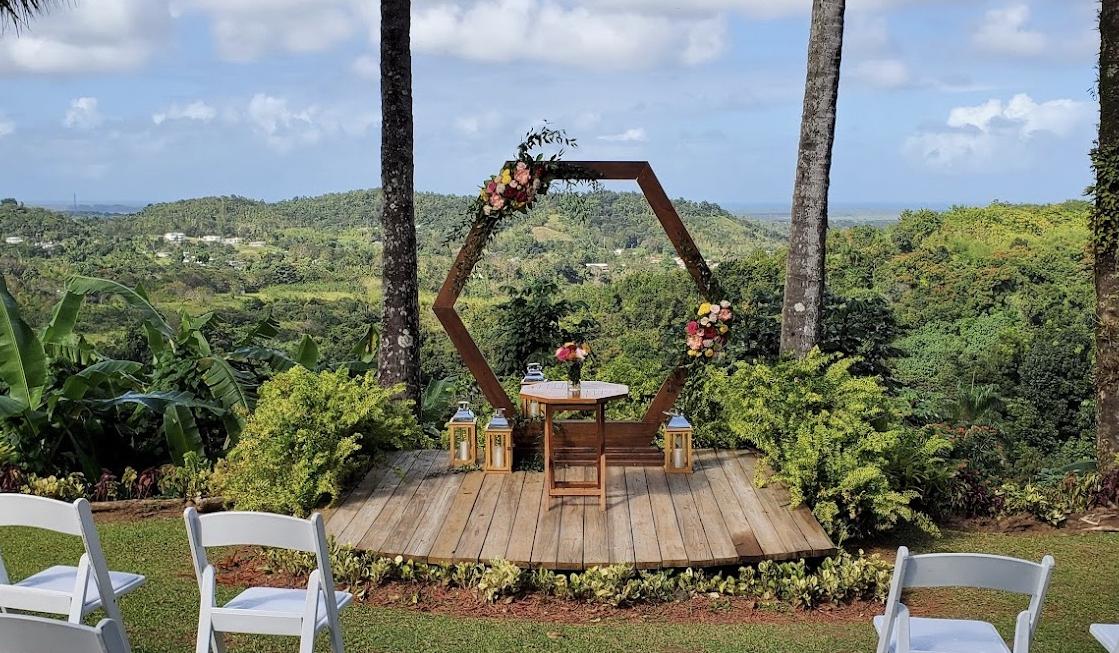 The Wedding Website of Daniyela Karapunarly and Adam Reebel