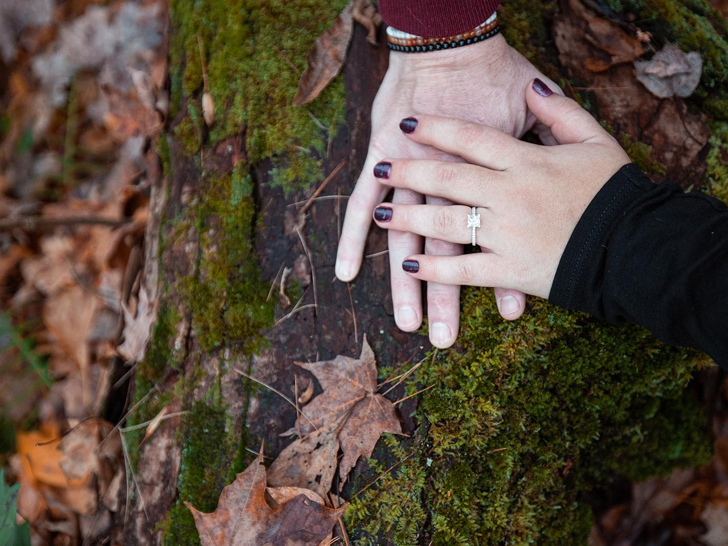 The Wedding Website of Allison Kernan and Eric Follett