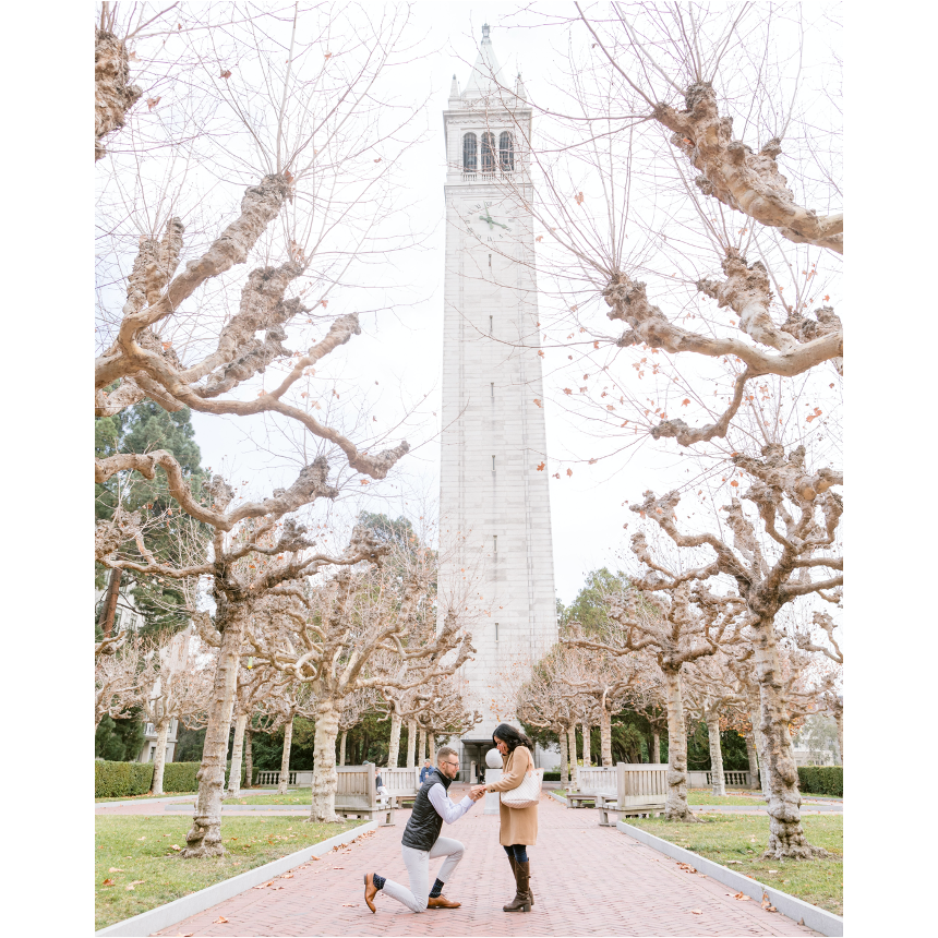 A snapshot of the beautiful, surprise proposal Bryce planned.