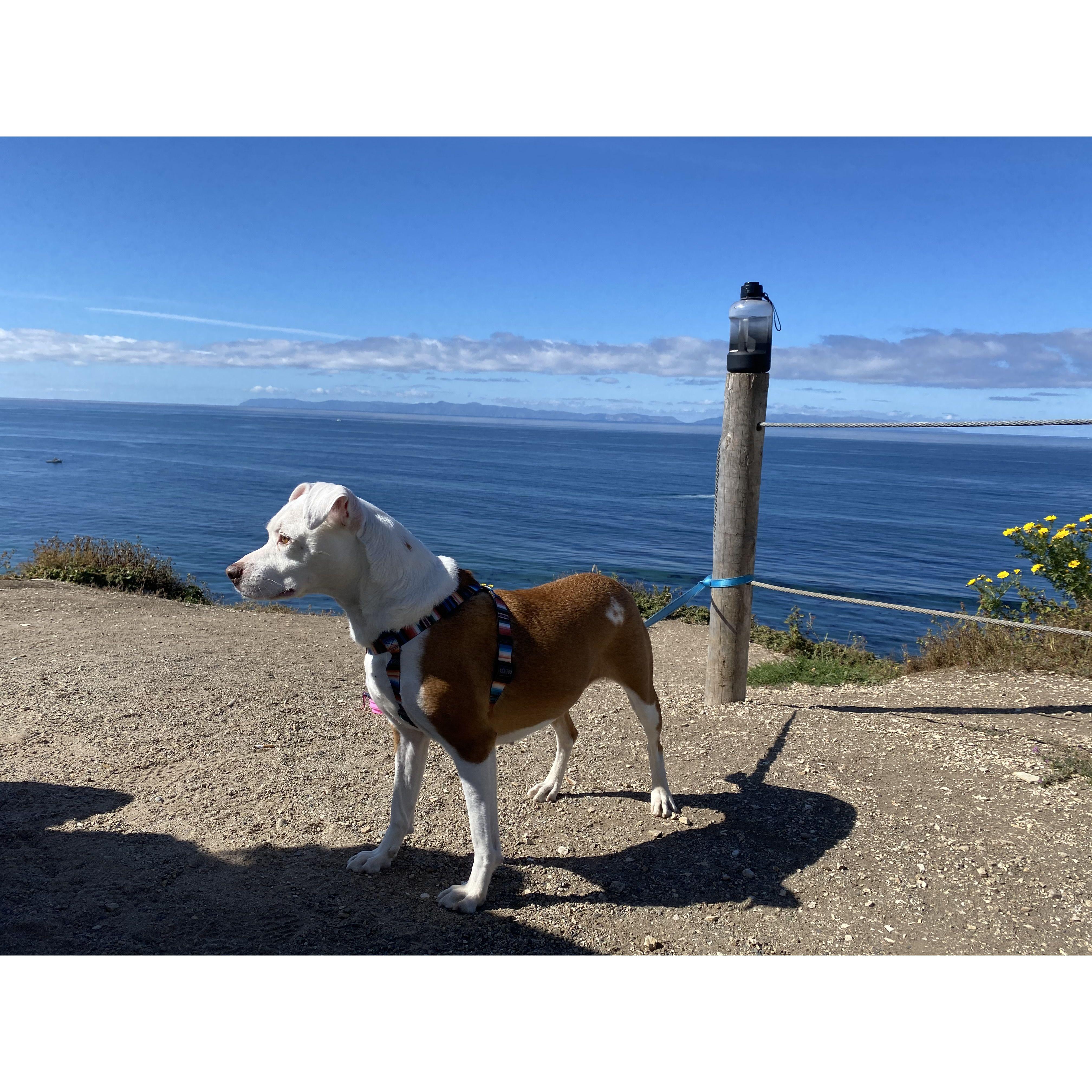 Our lovely daughter Pixie!