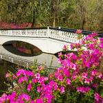 Azalea Park
