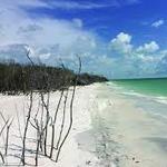 Caladesi Island