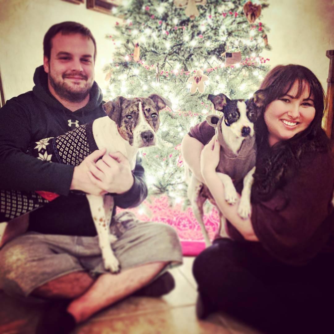 Our first Christmas in Arizona with the original pups