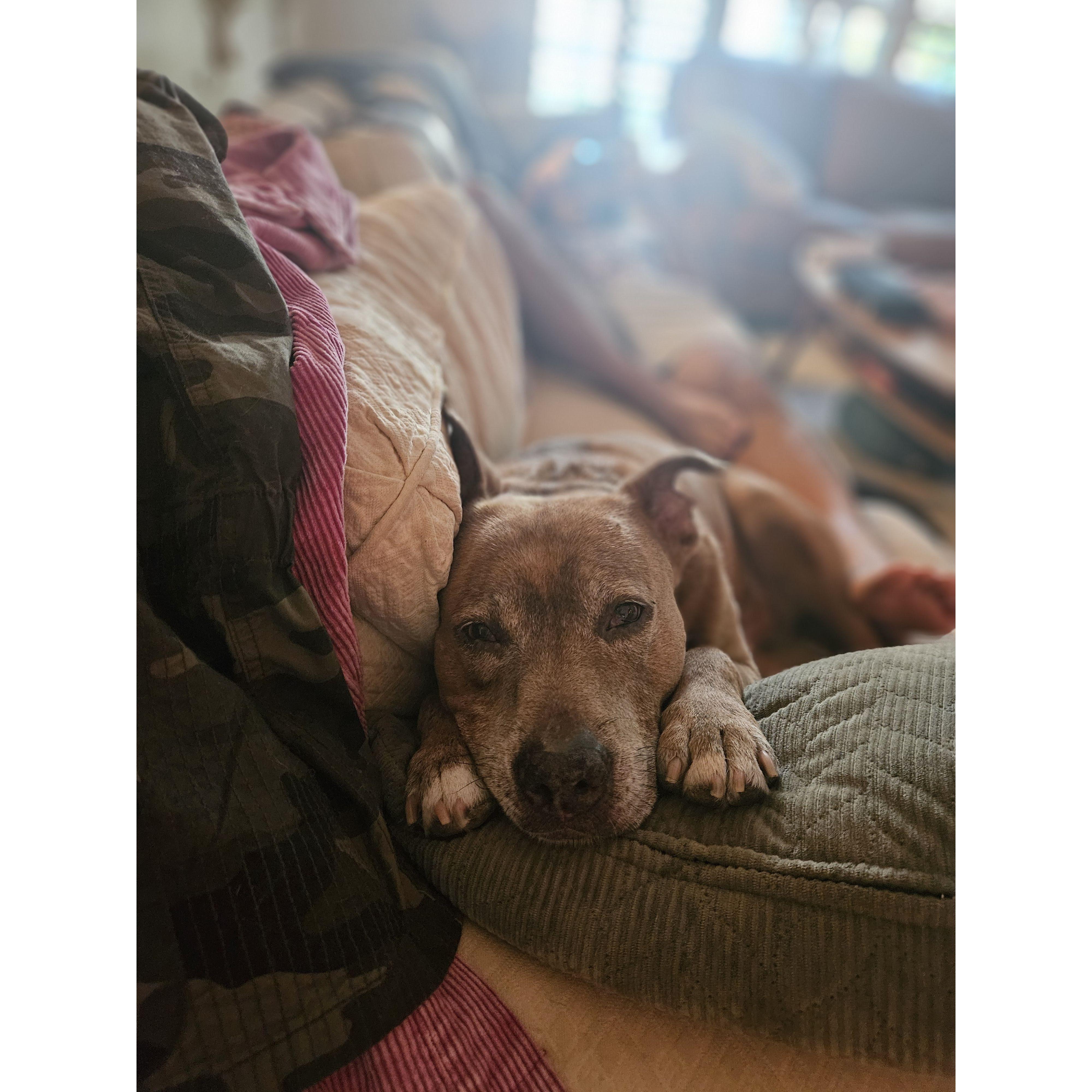 Our old man is the light of our lives.