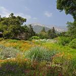 Santa Barbara Botanic Garden