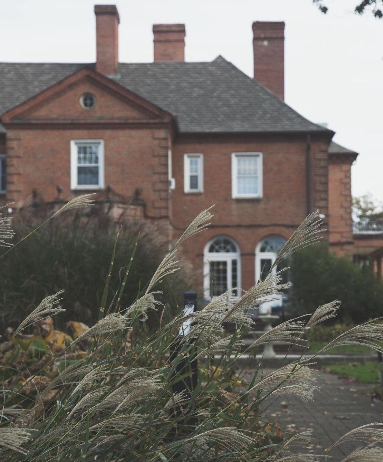 The Wedding Website of Ecaterina Alexa and Evan Grande