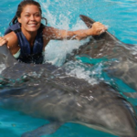 Dolphin Experience