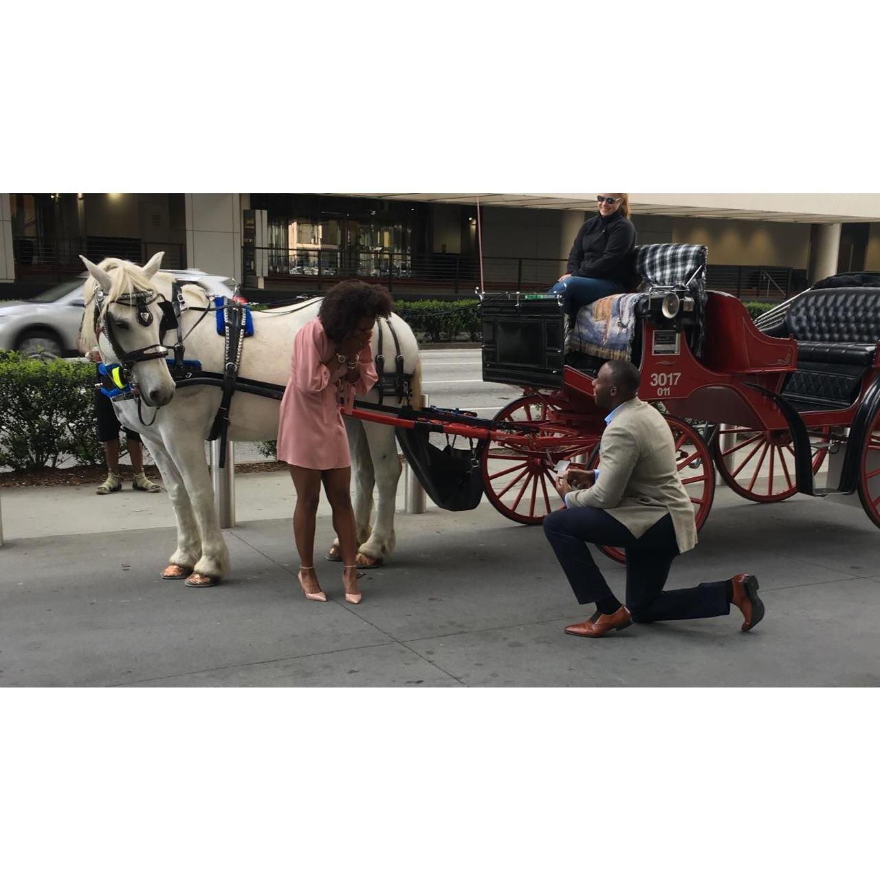 The Proposal