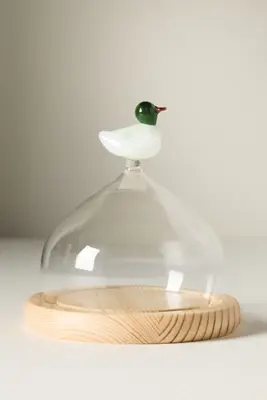 Glass Duck Cloche