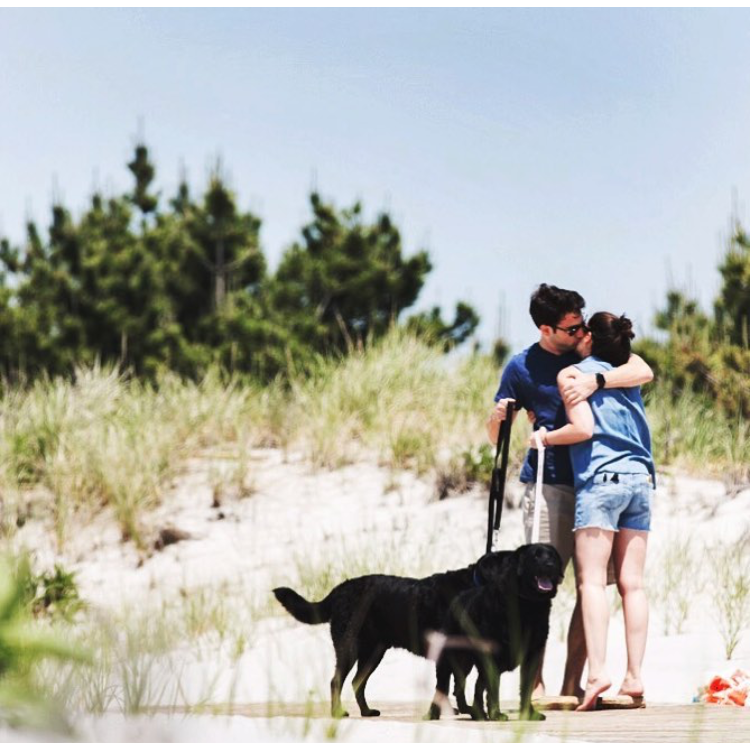 the proposal