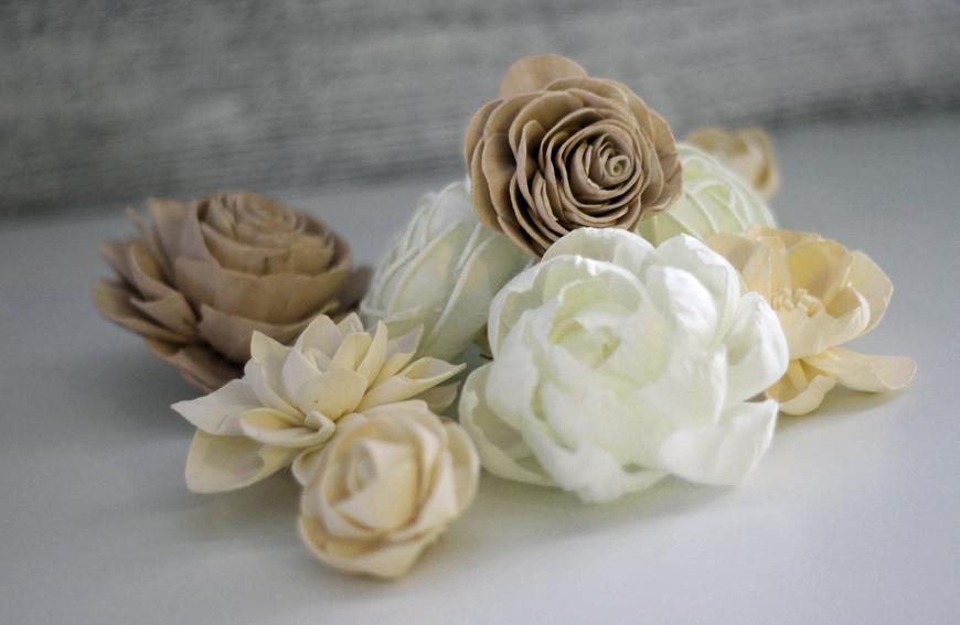 The Wedding Website of Paulette Perruccio and Frederick Divone