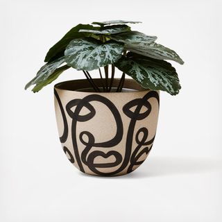 Small Cara Planter with Saucer