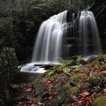 Neversink Gorge Trails
