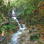 The flume gorge