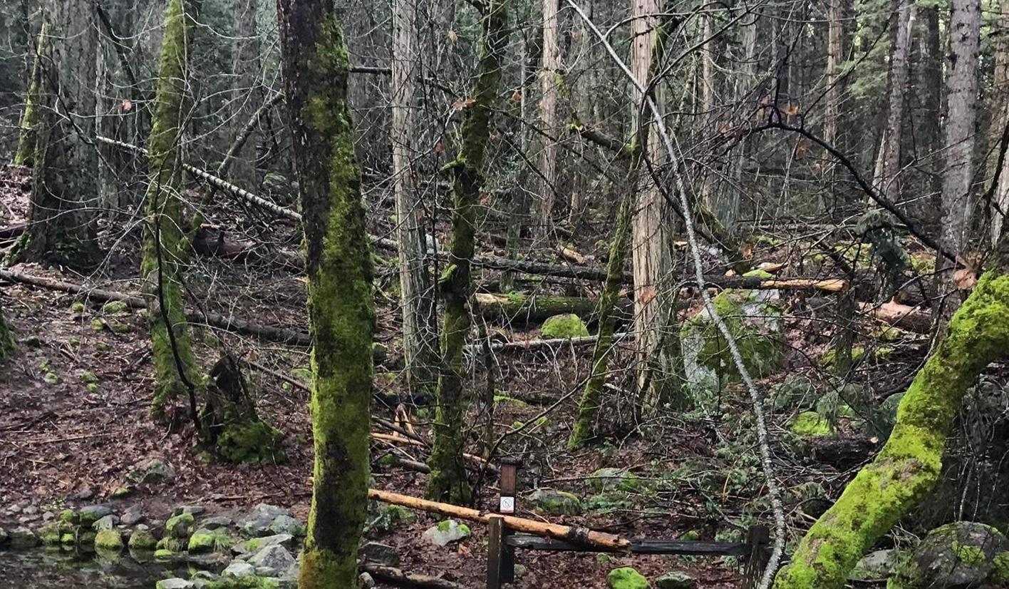 Hero Slideshow Image 5