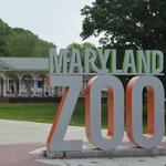 The Maryland Zoo in Baltimore