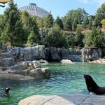 Omaha's Henry Doorly Zoo and Aquarium