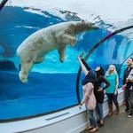 Detroit Zoo