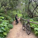 Reinhardt Redwood Regional Park
