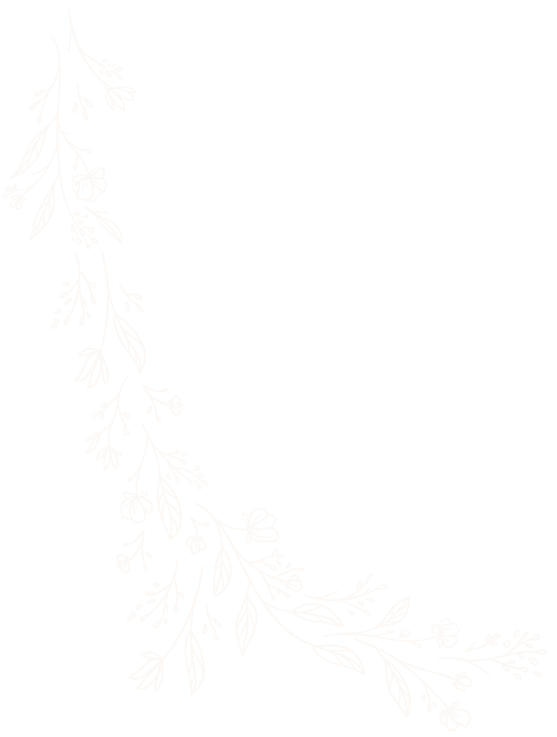 florals