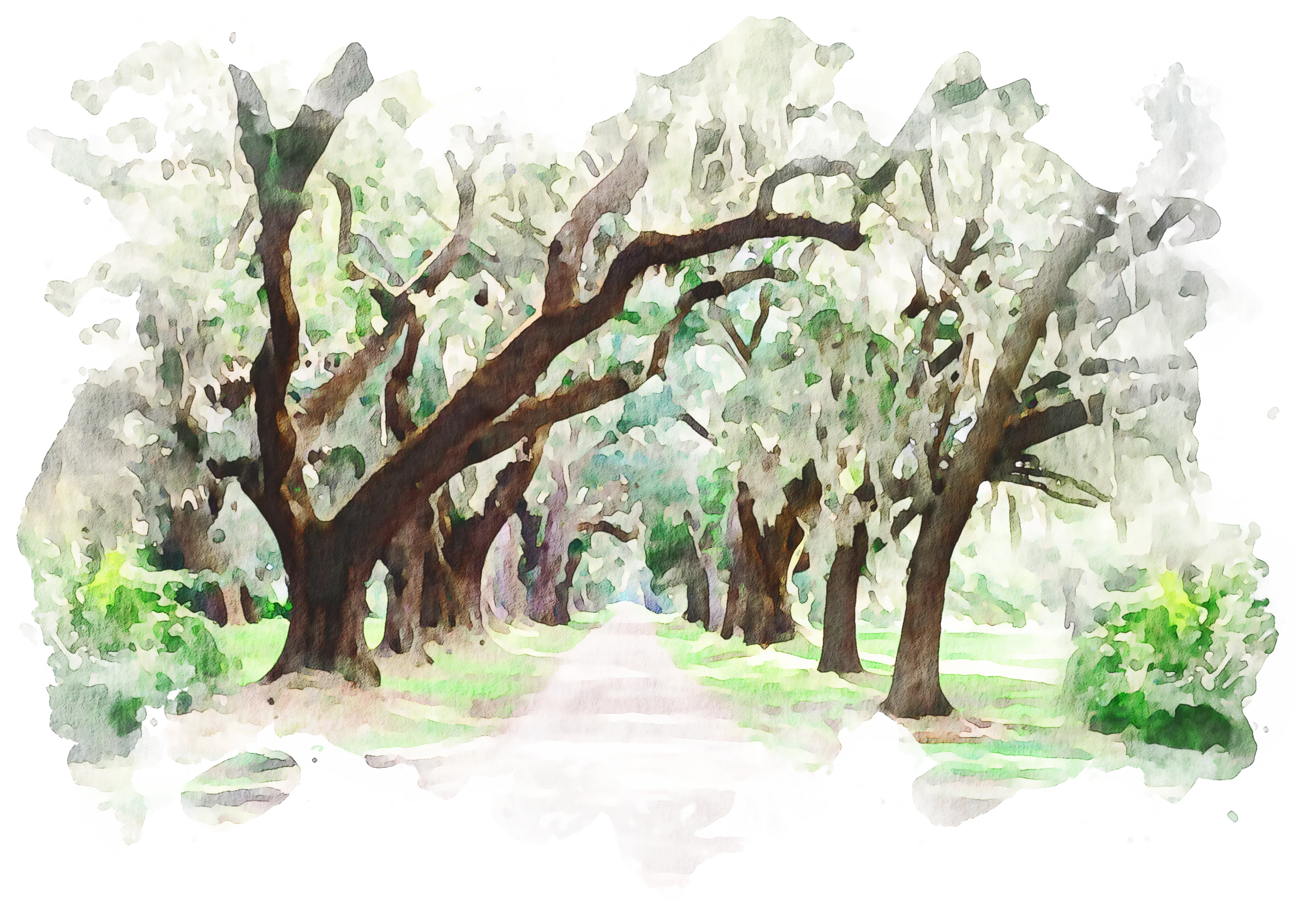 The Wedding Website of Paige Holliday and Marcus Cook