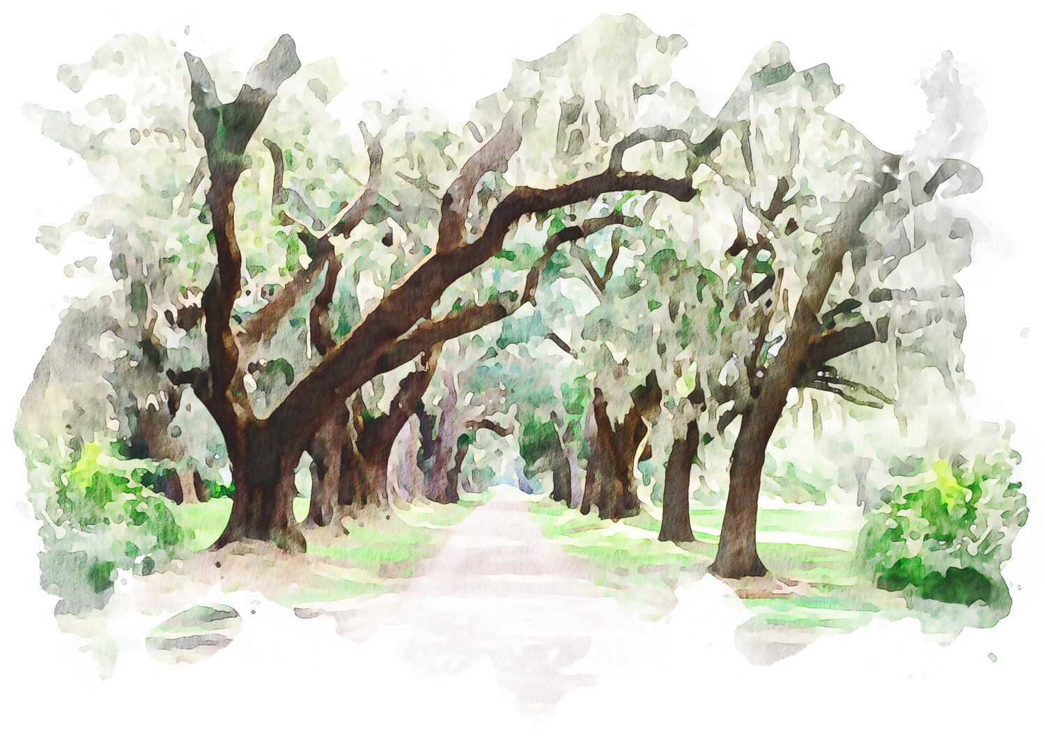 The Wedding Website of Paige Holliday and Marcus Cook