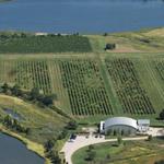 Saltwater Farm Vineyard