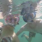 Sharks Cove