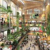 Jungceylon