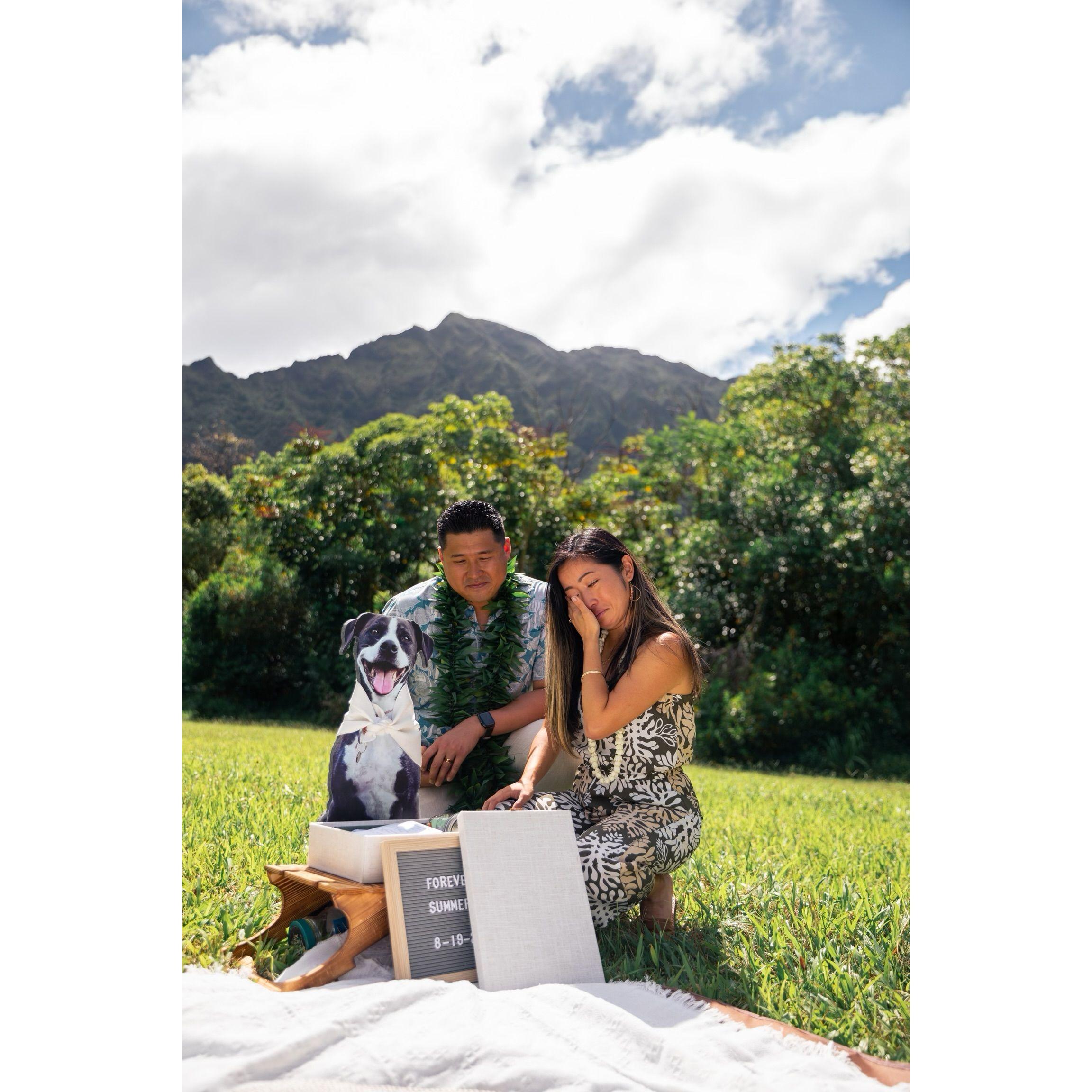 Ho'omaluhia, Kaneohe, HI - 2023