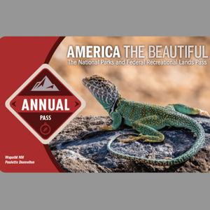 Annual National Parks Pass