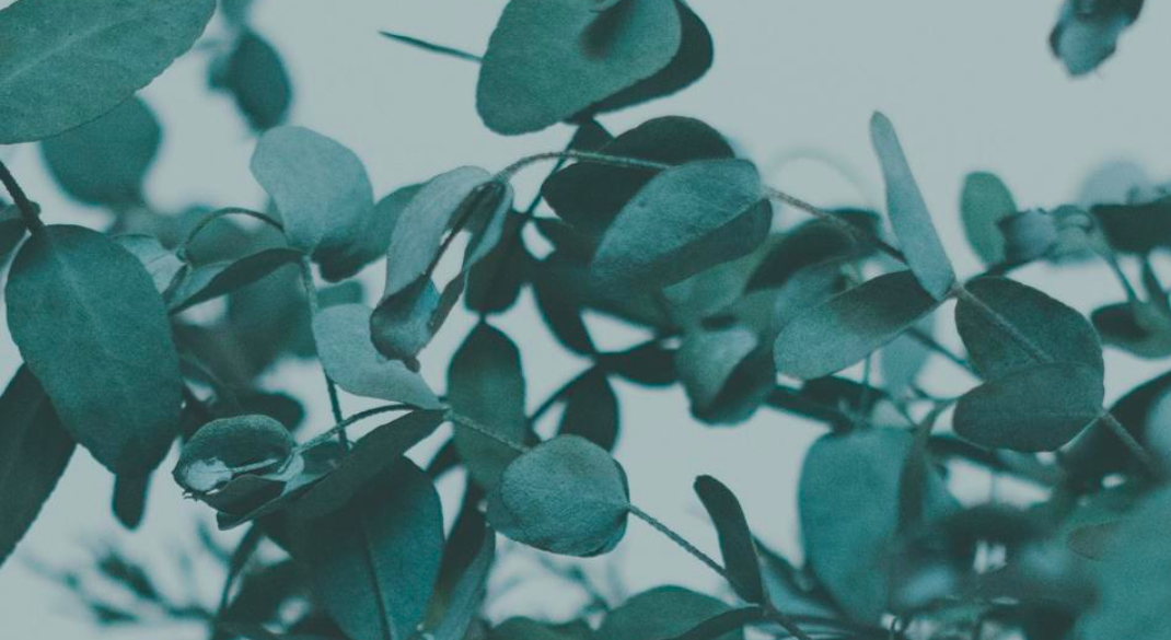 Footer image