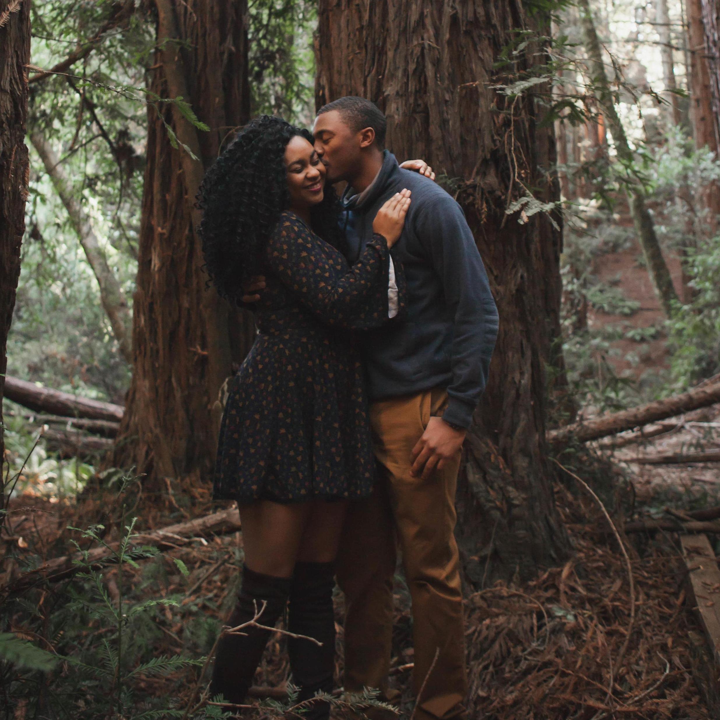 California, Redwoods