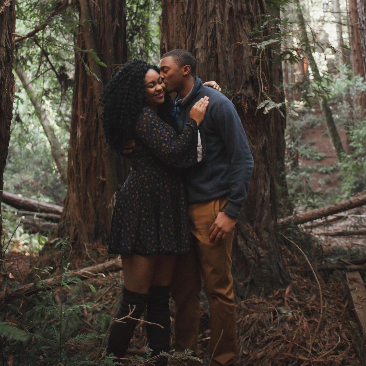 California, Redwoods