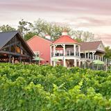 Cana Vineyards and Winery of Middleburg