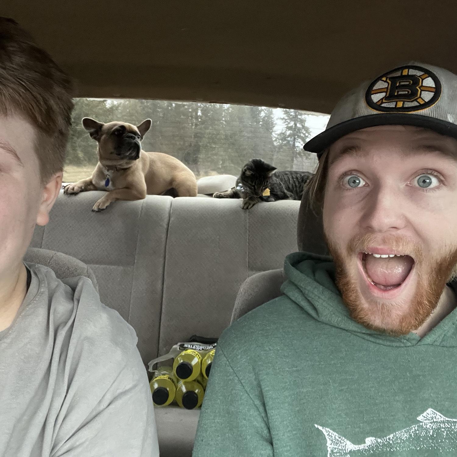Silly Animals
