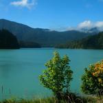 Alder Lake Park