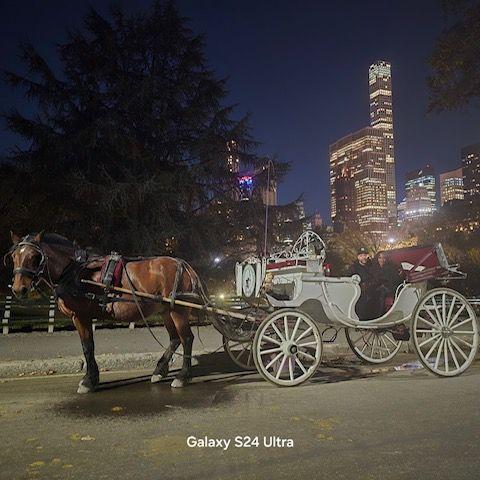 Our First Horse and Carriage Central Park Ride