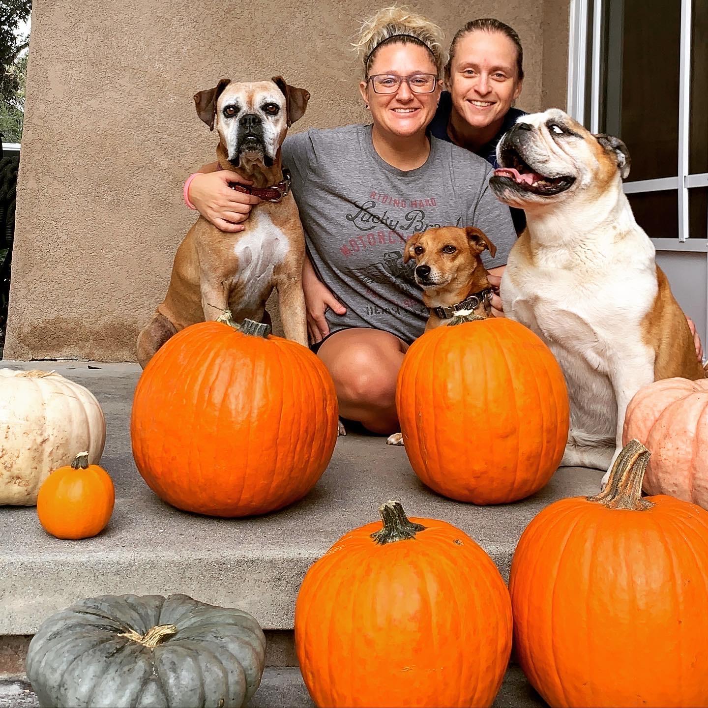 Halloween with Rascal, Lexi and Lucky
October 2020