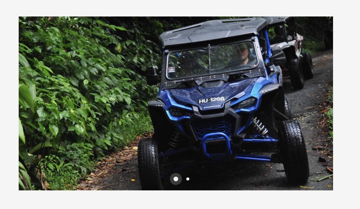 The Wedding Website of Jibria Shani and Elijah Arkeen Winn