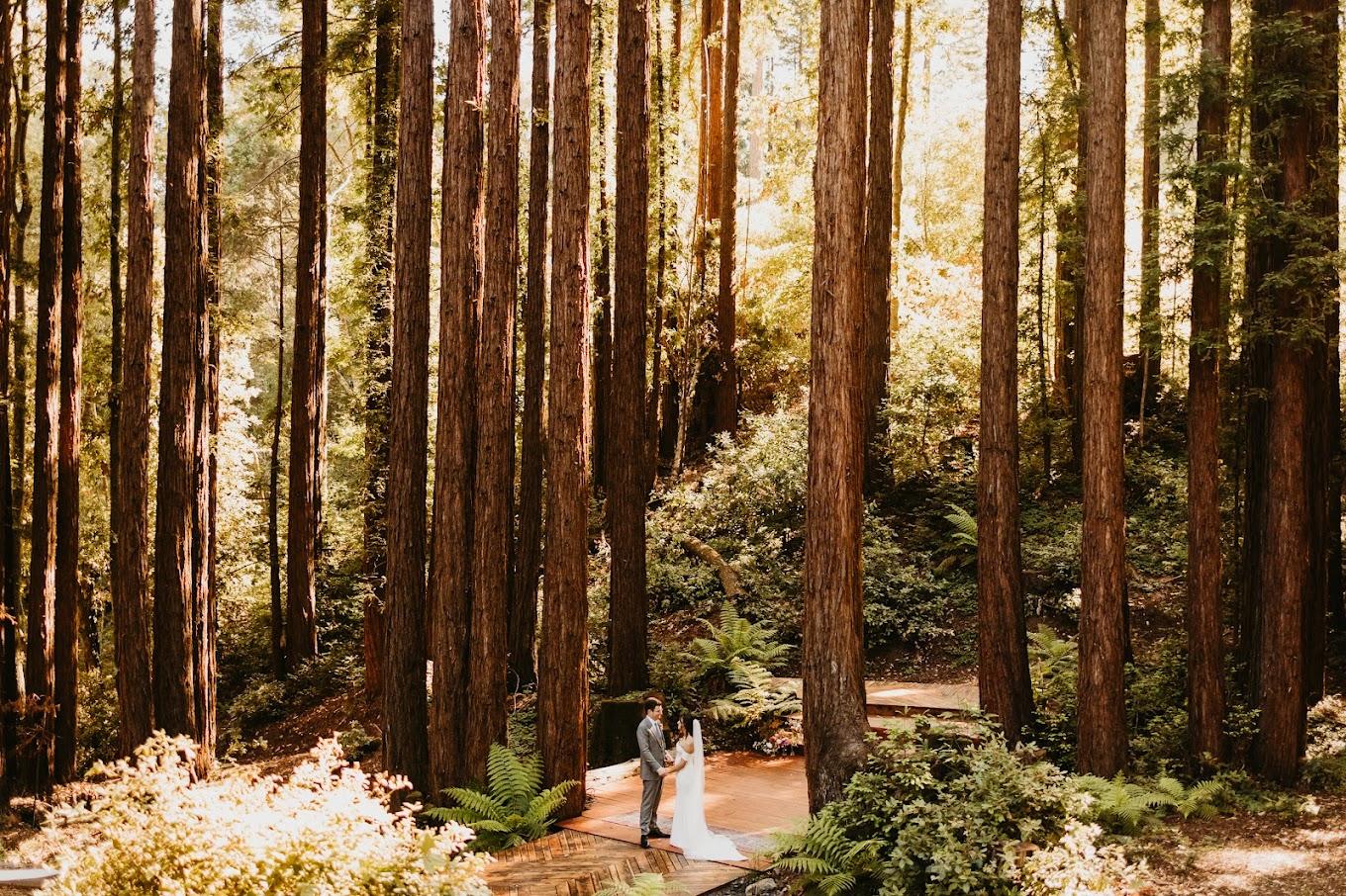 The Wedding Website of Miranda Mellor and Brenden Zounes