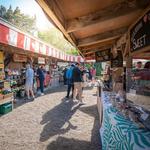 Matakana Village Farmers Market
