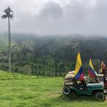 Valle de Cocora - EJE CAFETERO