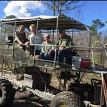 Swamp Buggy Tour