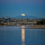 Mission Beach