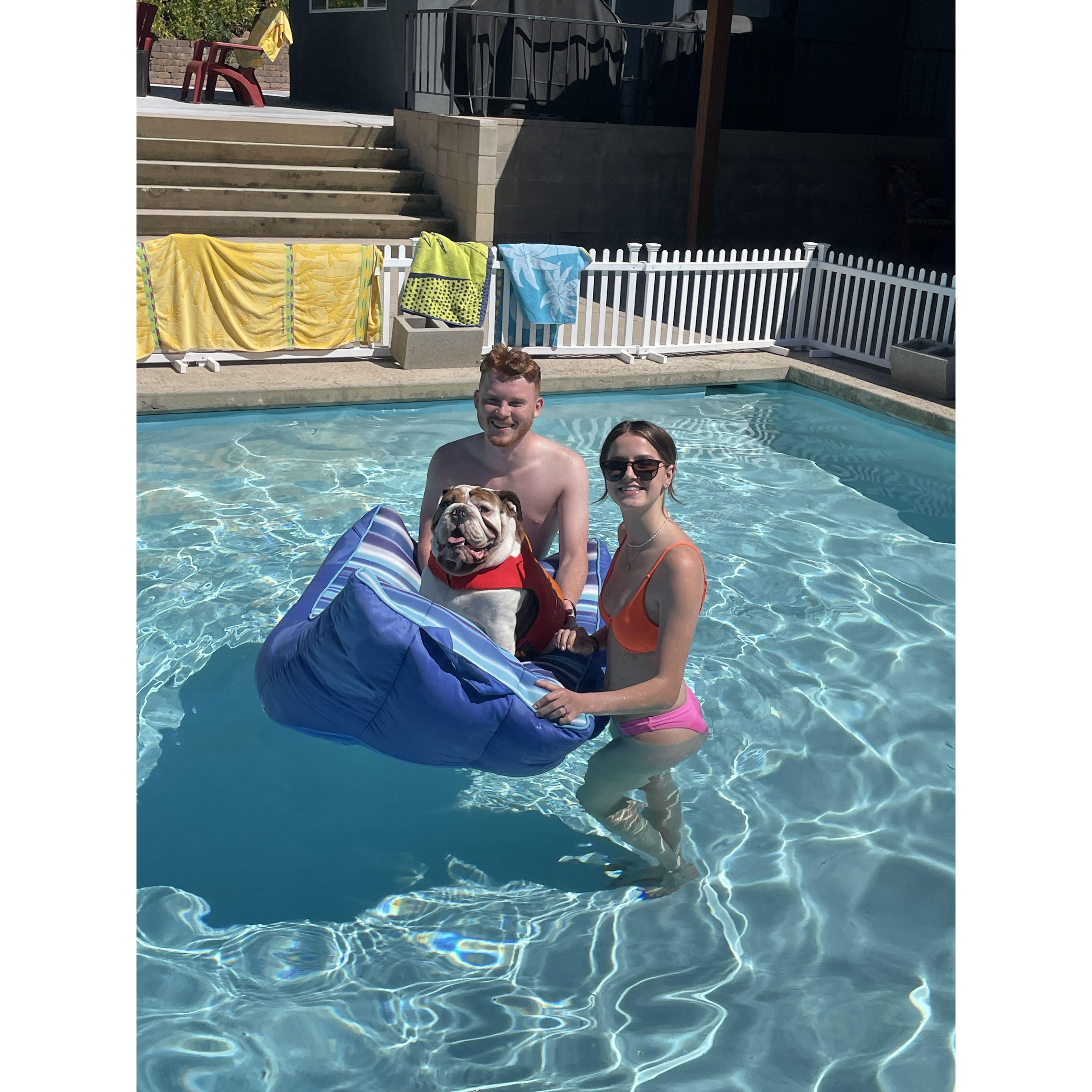 Taking Winston for a swim! He loves it, but not the actual swimming part.